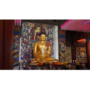 释家经文合集